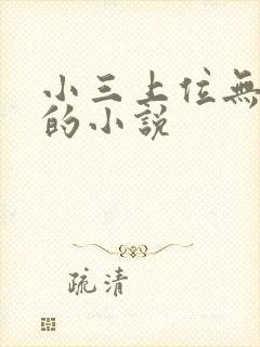 小三上位无三观的小说