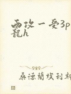 两攻一受3p双龙h