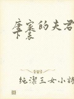 唐家的夫君们帘下衾