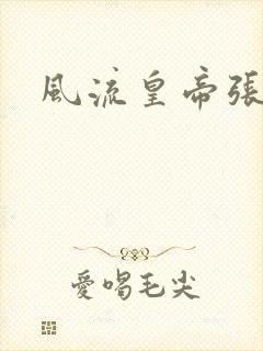 风流皇帝张无忌封面