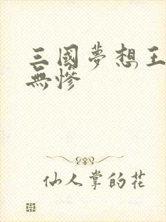 三国梦想王元姬无惨