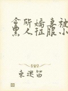 会所娇妻被多个黑人征服小说