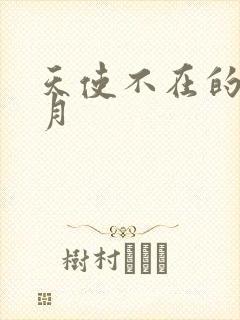 天使不在的12月