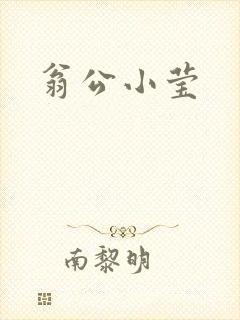 翁公小莹
