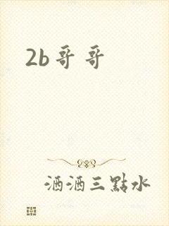 2b哥哥