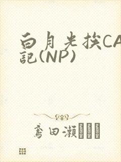 白月光挨CAO记(NP)