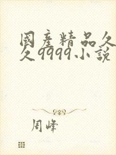 国产精品久久久久9999小说