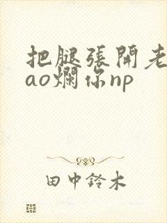 把腿张开老子cao烂你np