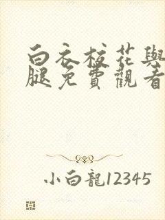 白衣校花与大长腿免费观看电视剧