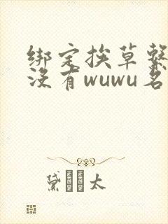 绑定挨草系统后没有wuwu名字