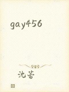 gay456封面