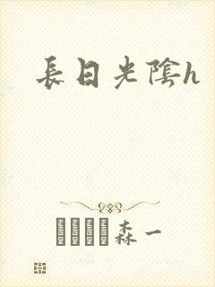 长日光阴h