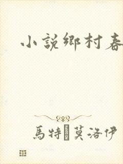小说乡村春光