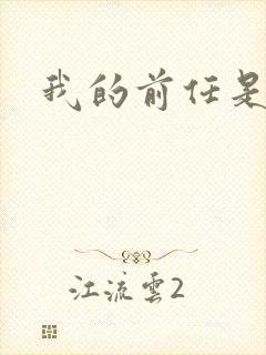 我的前任是极品