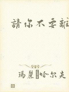 请你不要离开我封面