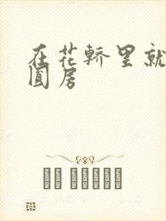 在花轿里就开始圆房