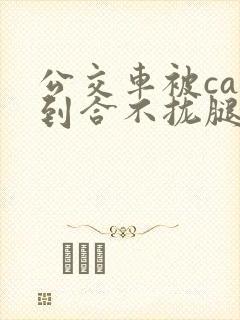 公交车被cao到合不拢腿视频