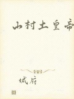 山村土皇帝封面