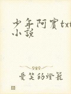 少年阿宾txt小说