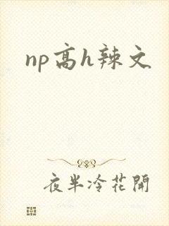 np高h辣文封面