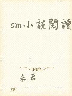 sm小说阅读封面