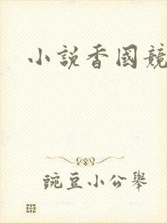 小说香国竞艳
