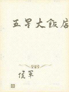 五星大饭店小说