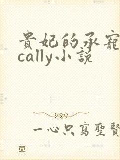 贵妃的承宠日常cally小说封面