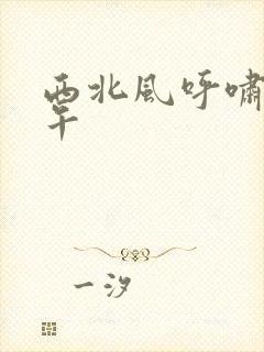 西北风呼啸的中午