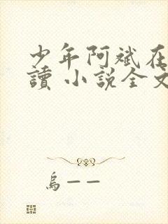 少年阿斌在线阅读 小说全文免费