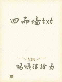 四面墙txt封面