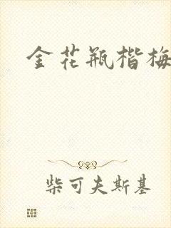 金花瓶楷梅花2封面