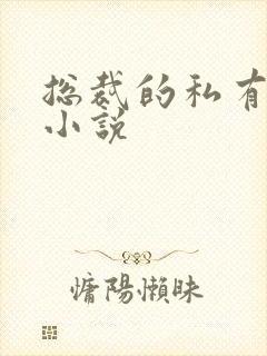 总裁的私有宝贝小说