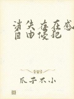 消失存在感消失自由侵犯