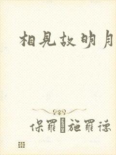 相见故明月封面