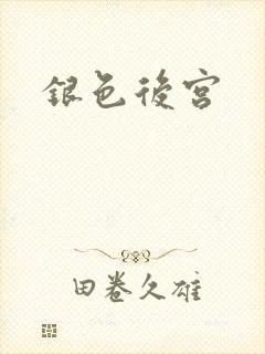 银色后宫封面
