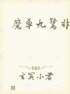 魔尊九鹭非香封面
