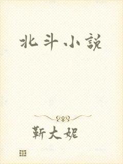 北斗小说