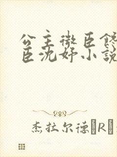 公主微臣馋了微臣沈妤小说