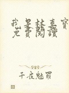 我是林喜宝小说免费阅读封面