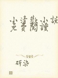 小清欢小说全文免费阅读