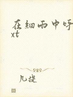 在细雨中呼喊txt