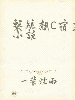 系统想C宿主的小说封面