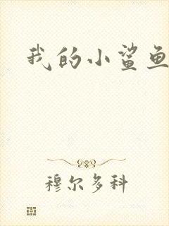 我的小鲨鱼封面