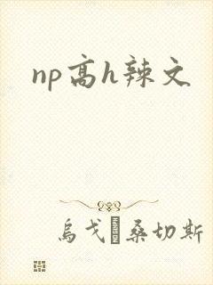 np高h辣文