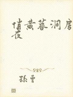 俏黄蓉洞房花烛夜封面