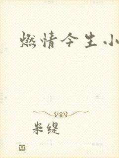 燃情今生小说