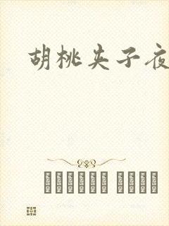 胡桃夹子夜未眠封面