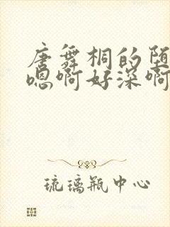 唐舞桐的堕落H嗯啊好深啊封面