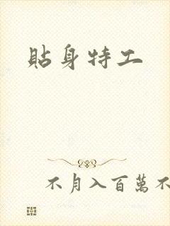 贴身特工封面